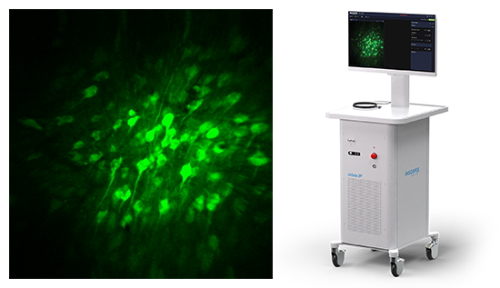 ברוקר מציג את מיקרוסקופ המיניאטורה של NVISTA 2P