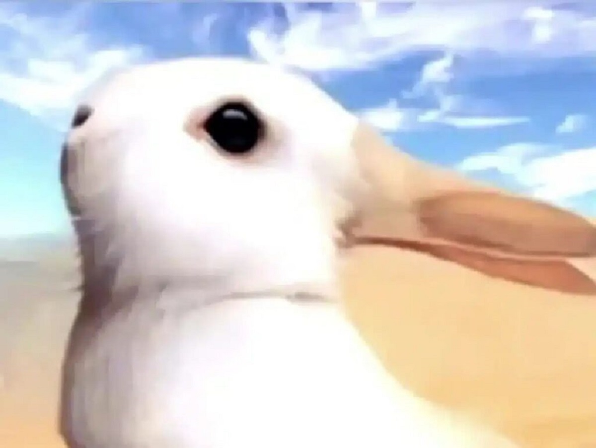 המבחן שיחשוף