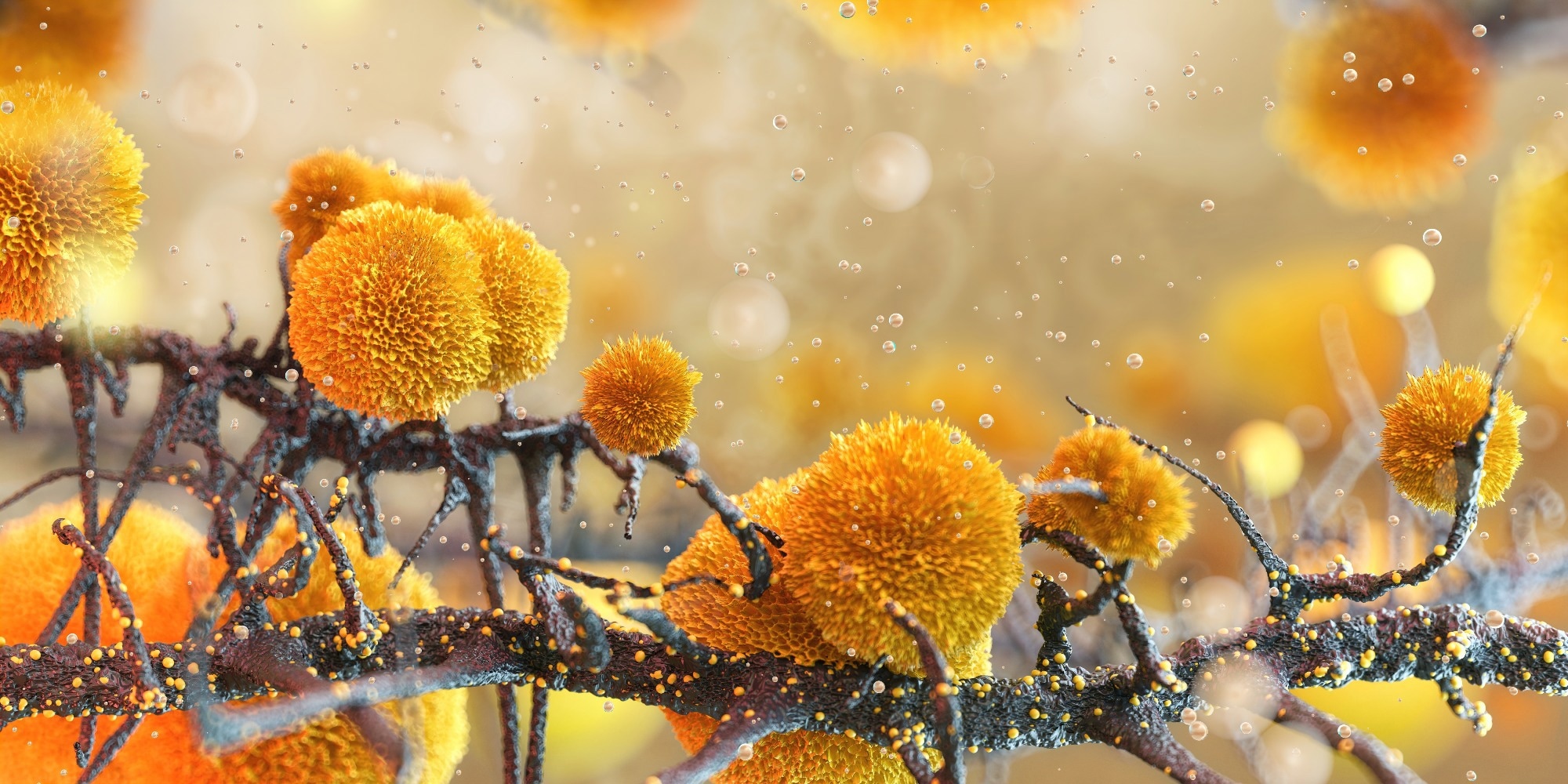 Study: Conversation between skin microbiota and the host: from early life to adulthood. Image Credit: Corona Borealis Studio / Shutterstock