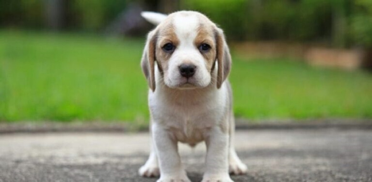 מושלמים לחיבוק ולנשיקה