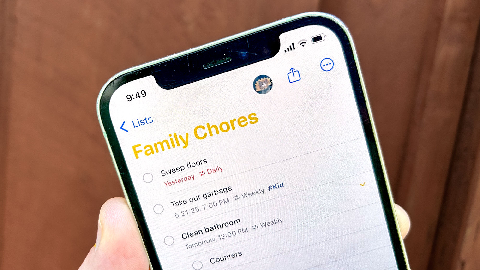 A shared list of tasks in the Reminders app on an iPhone