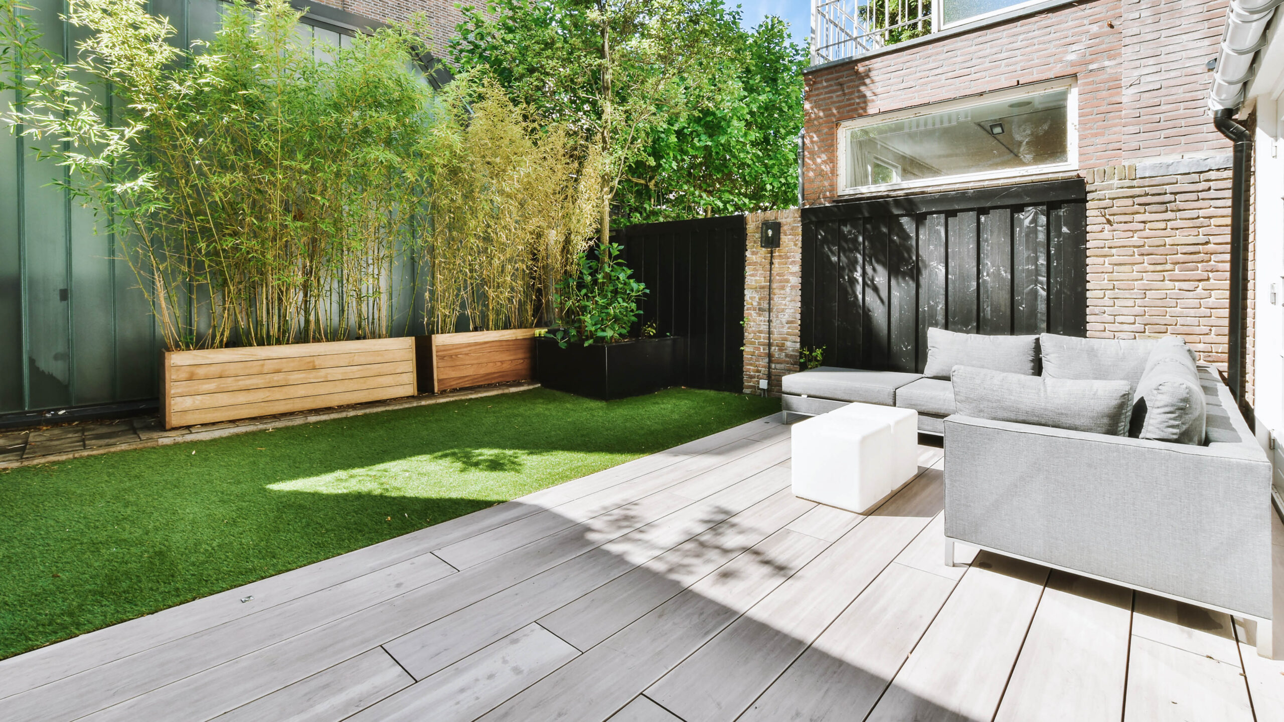 Bamboo plants outdoors