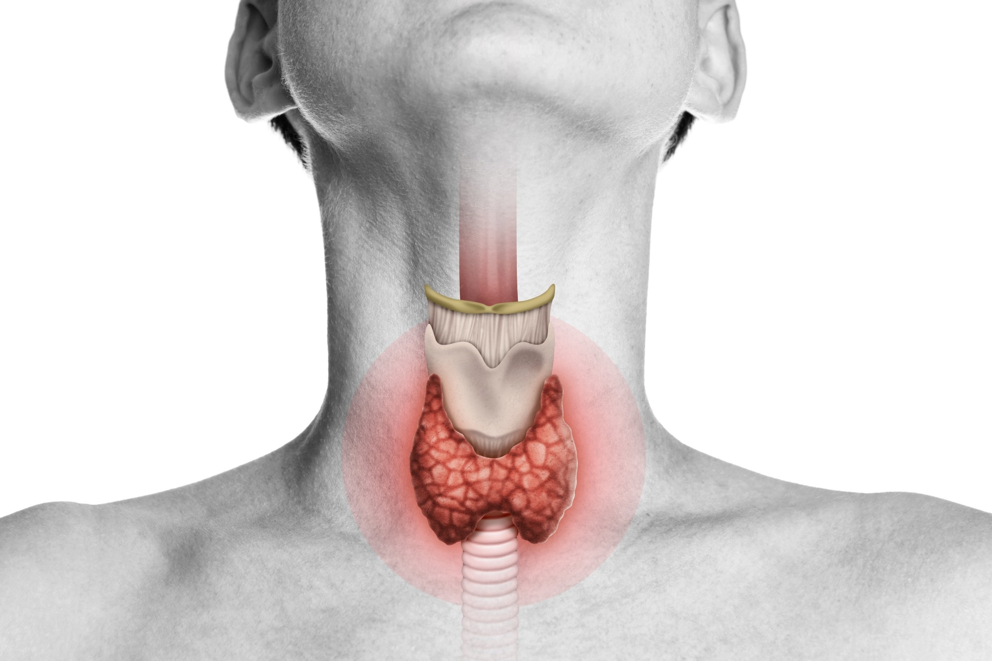 Study: Risk of hypothyroidism in meat-eaters, fish-eaters, and vegetarians: a population-based prospective study. Image Credit: SvetaZi / Shutterstock