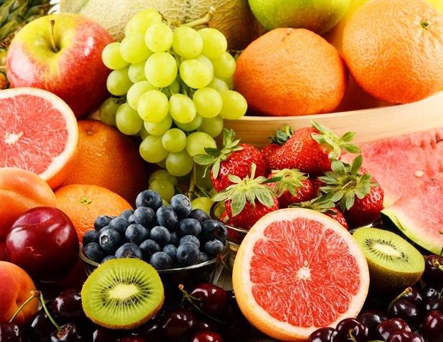 מודל זבוב פרי מהונדס גנטית חדש שופך אור על התמכרות לקוקאין