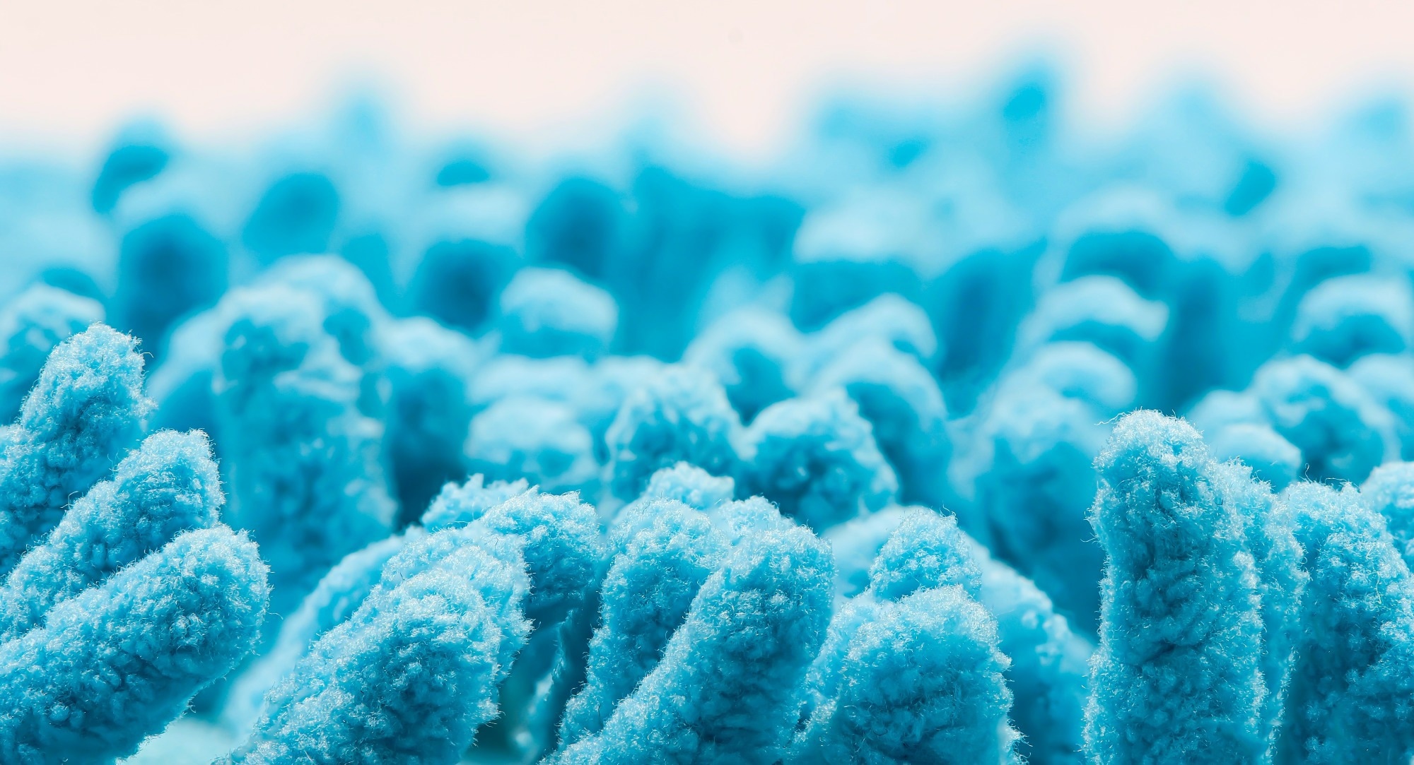 Study: Akkermansia Muciniphila Primes Lung-Resident Antiviral Immunity via the Gut–Lung Axis During SARS-CoV-2 Infection. Image Credit: TopMicrobialStock / Shutterstock