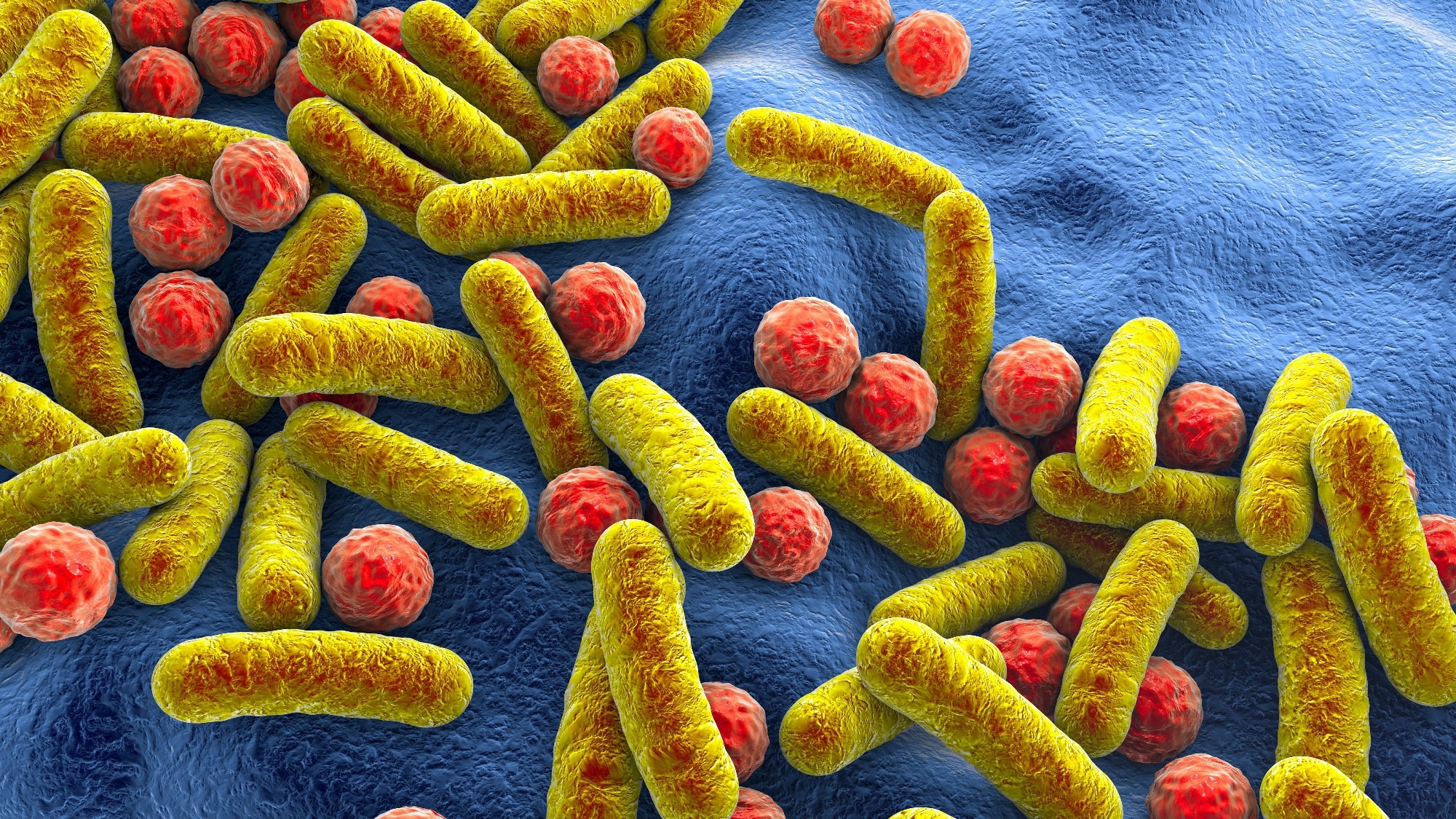 Perspective: The microbiome for clinicians. Image Credit: Kateryna Kon / Shutterstock