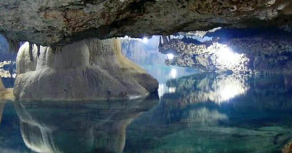 ומדענים נדהמים