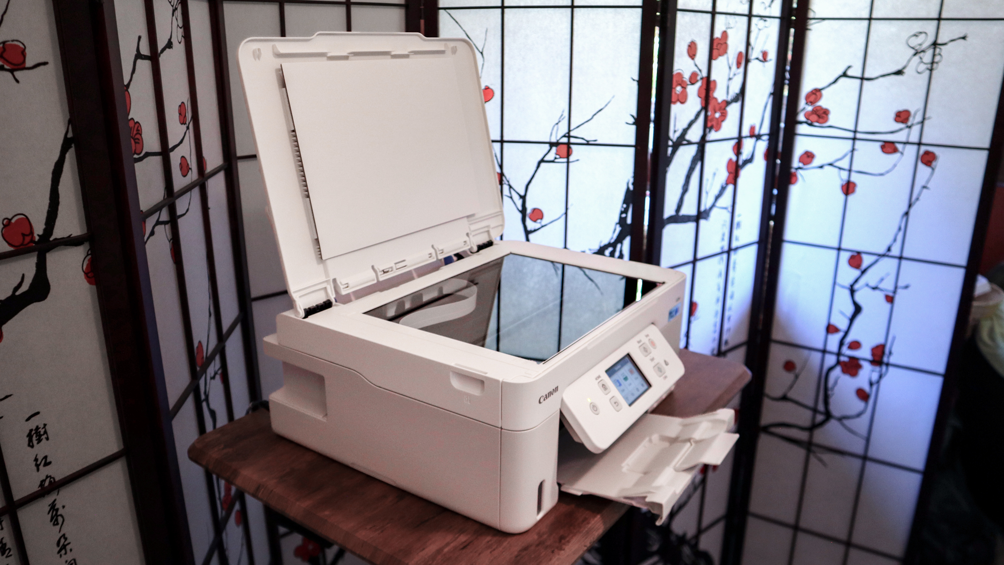 Canon Megatank Pixma G3290 יחידת הסקירה בפעולה