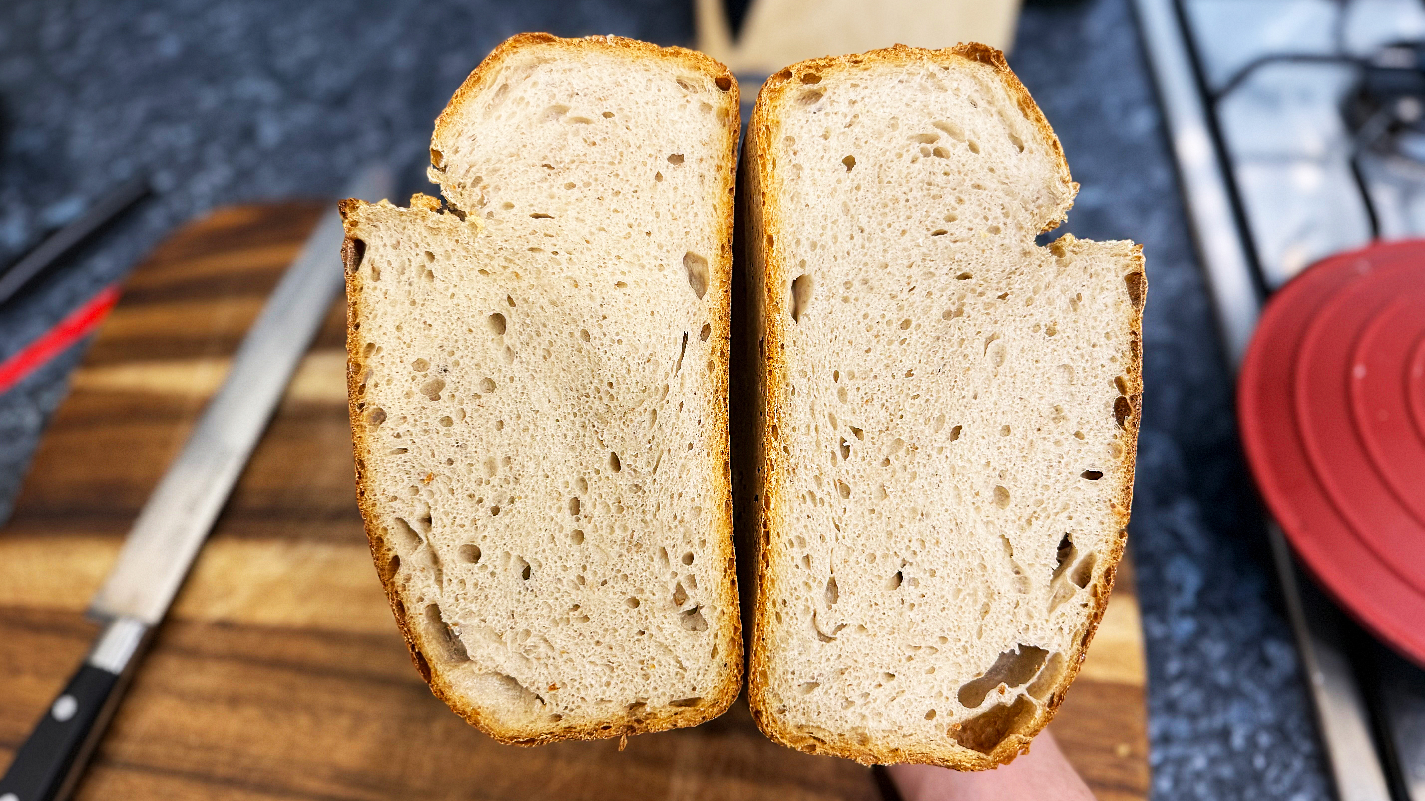 תמונה של בצק חמוץ המיוצר באמצעות Sourhouse Doughbed
