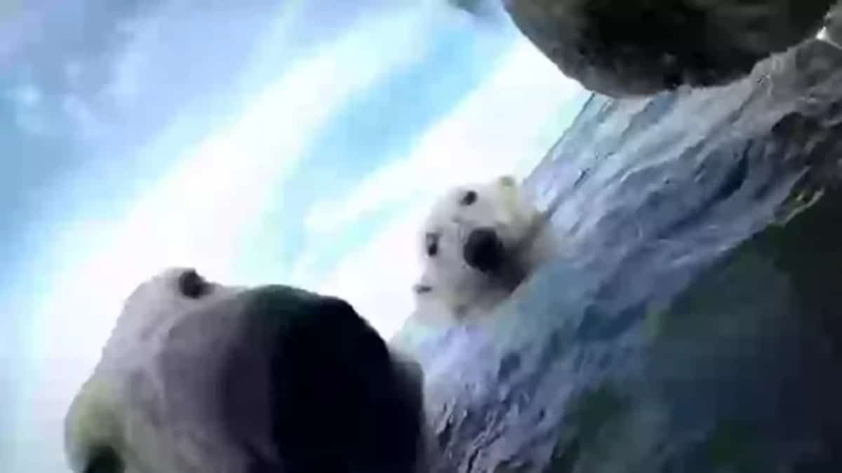 3 מדענים חיברו