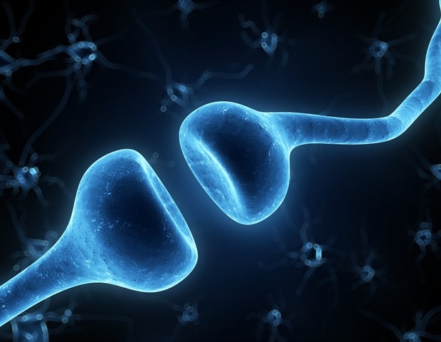 חוקרים בלגים חושפים כיצד תאים דנדריטים מגיבים לננו -חלקיקים בשומנים בחיסונים