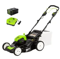 Greenworks 24V 13
