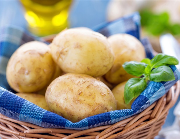 לצום אין השפעה זהה על כל סוגי הגוף, המחקר מציע