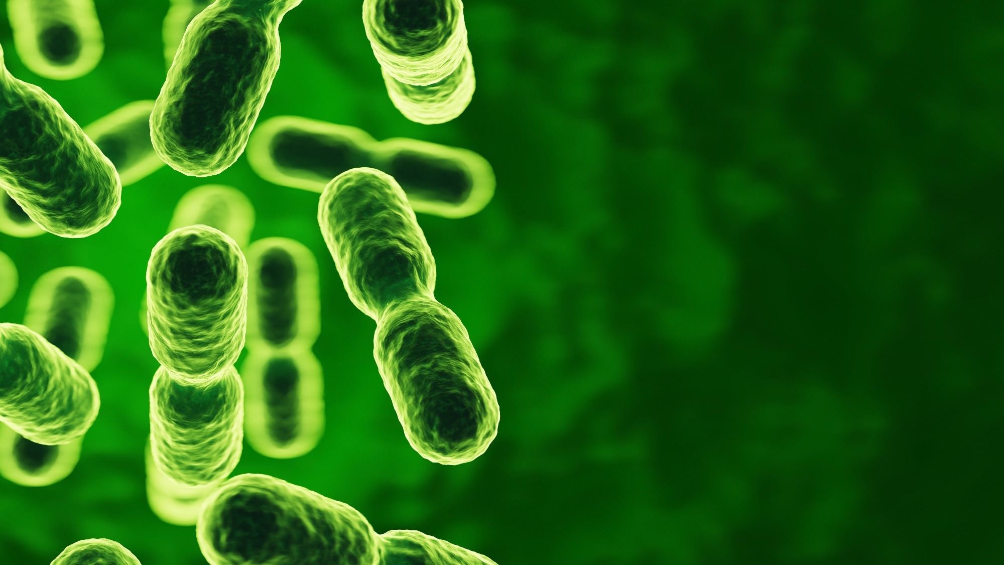 Study: Discovery of intestinal microorganisms that affect the improvement of muscle strength. Image Credit: e-crow / Shutterstock