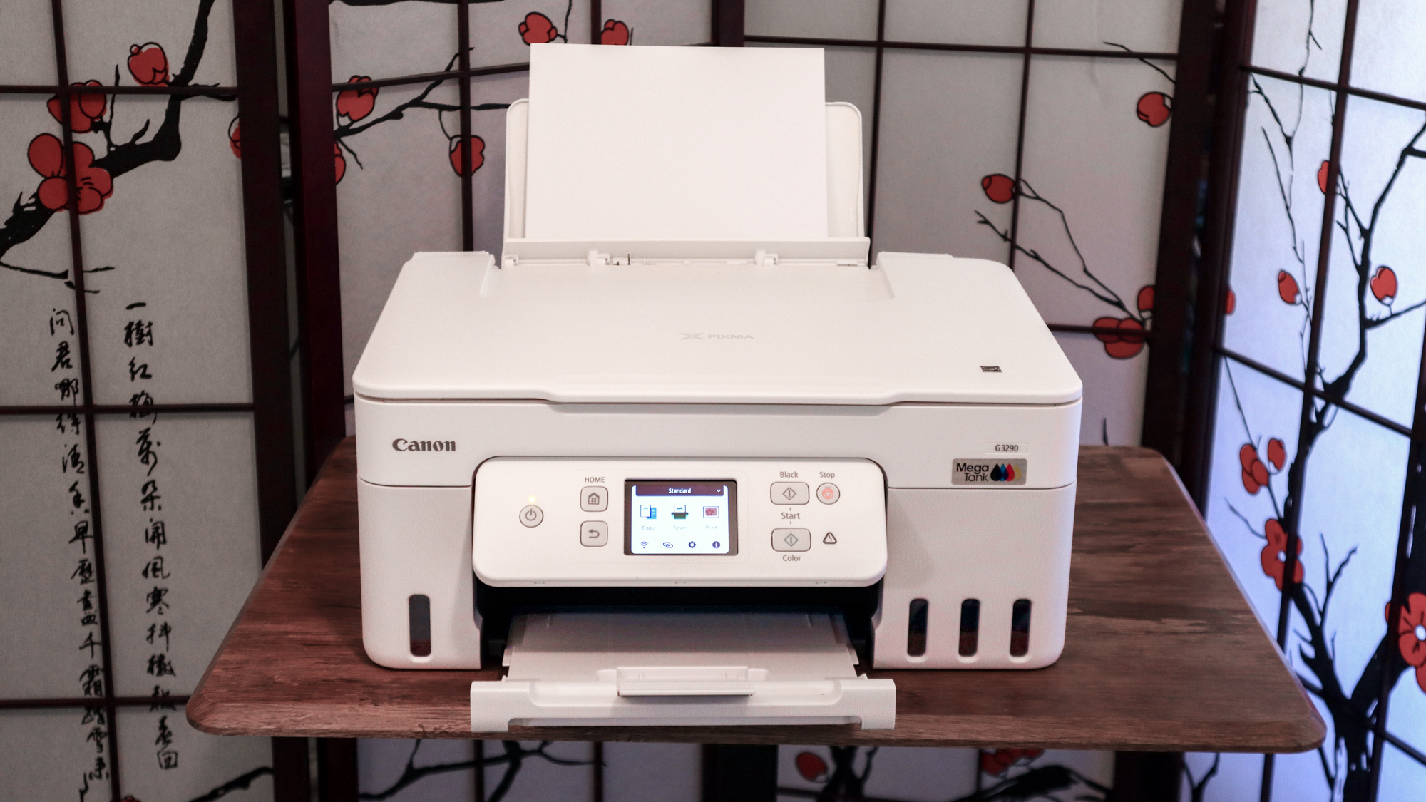 Canon Megatank Pixma G3290 יחידת הסקירה בפעולה