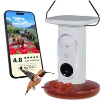 מזין סולארי חכם של Birdbuddy