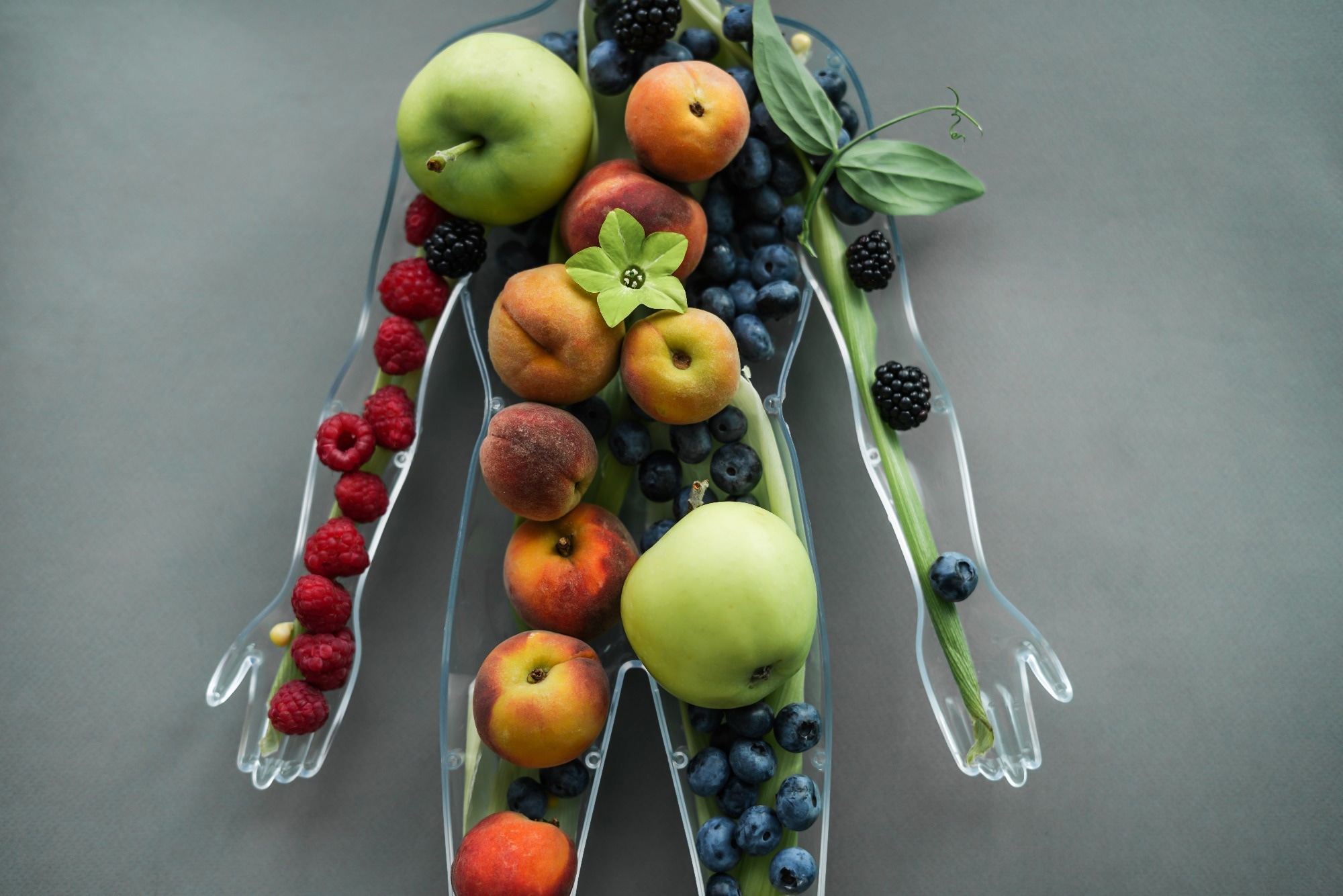 Study: Healthy Food Benefit Programs, Fruit and Vegetable Consumption, and Food Security. Image Credit: Simxa / Shutterstock