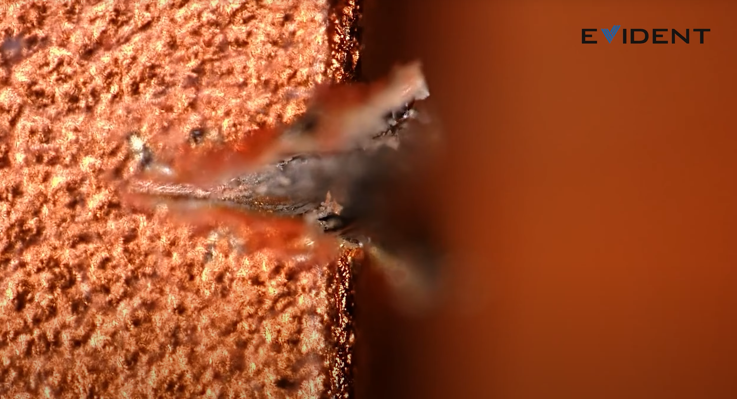 תמונות ifixit teardown ו- scratchgate של אייפון 17 pro