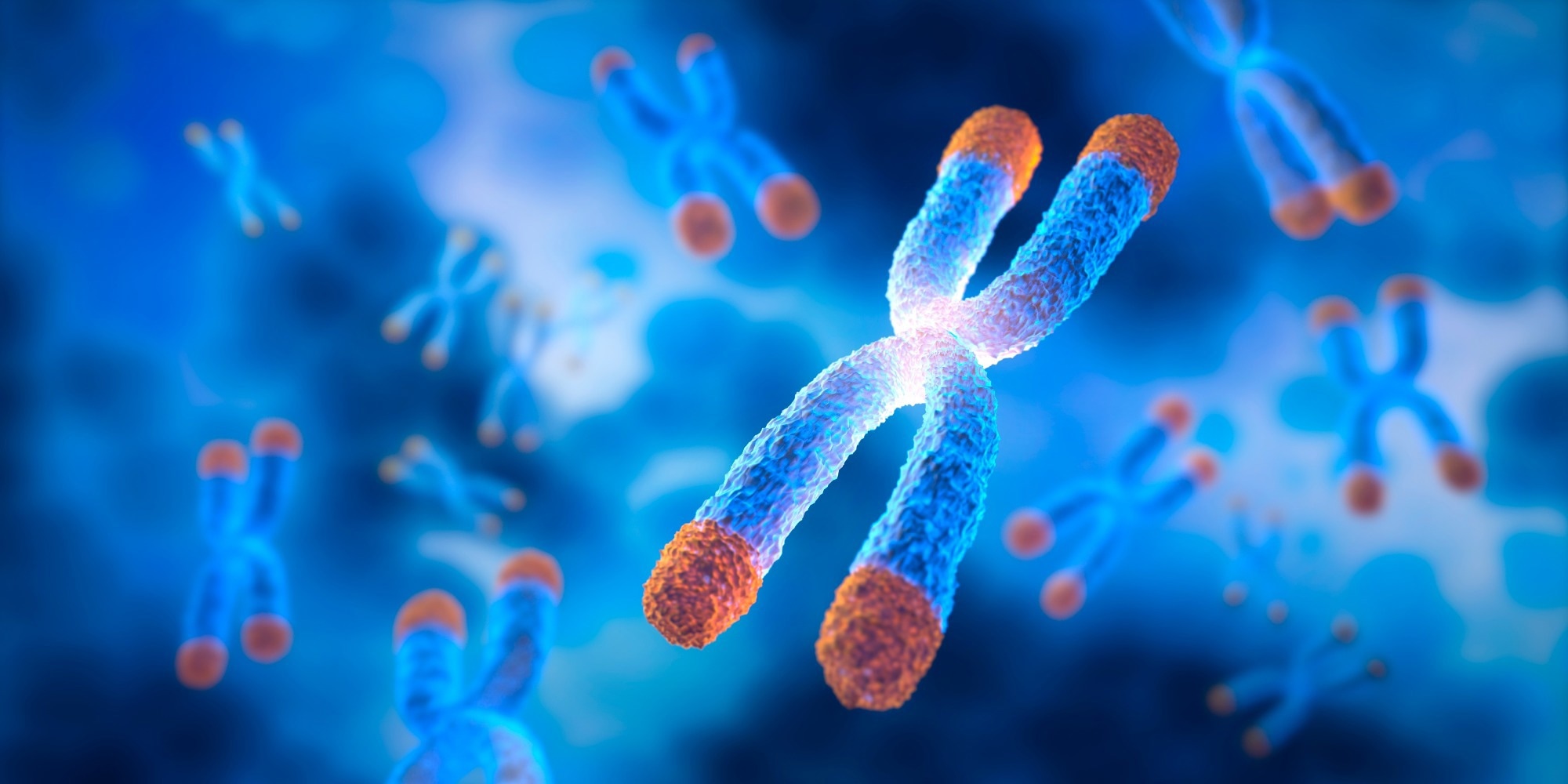 Study: Associations between air pollution and relative leukocyte telomere length among northern Swedish adults based on findings from the Betula study. Image Credit: peterschreiber.media / Shutterstock