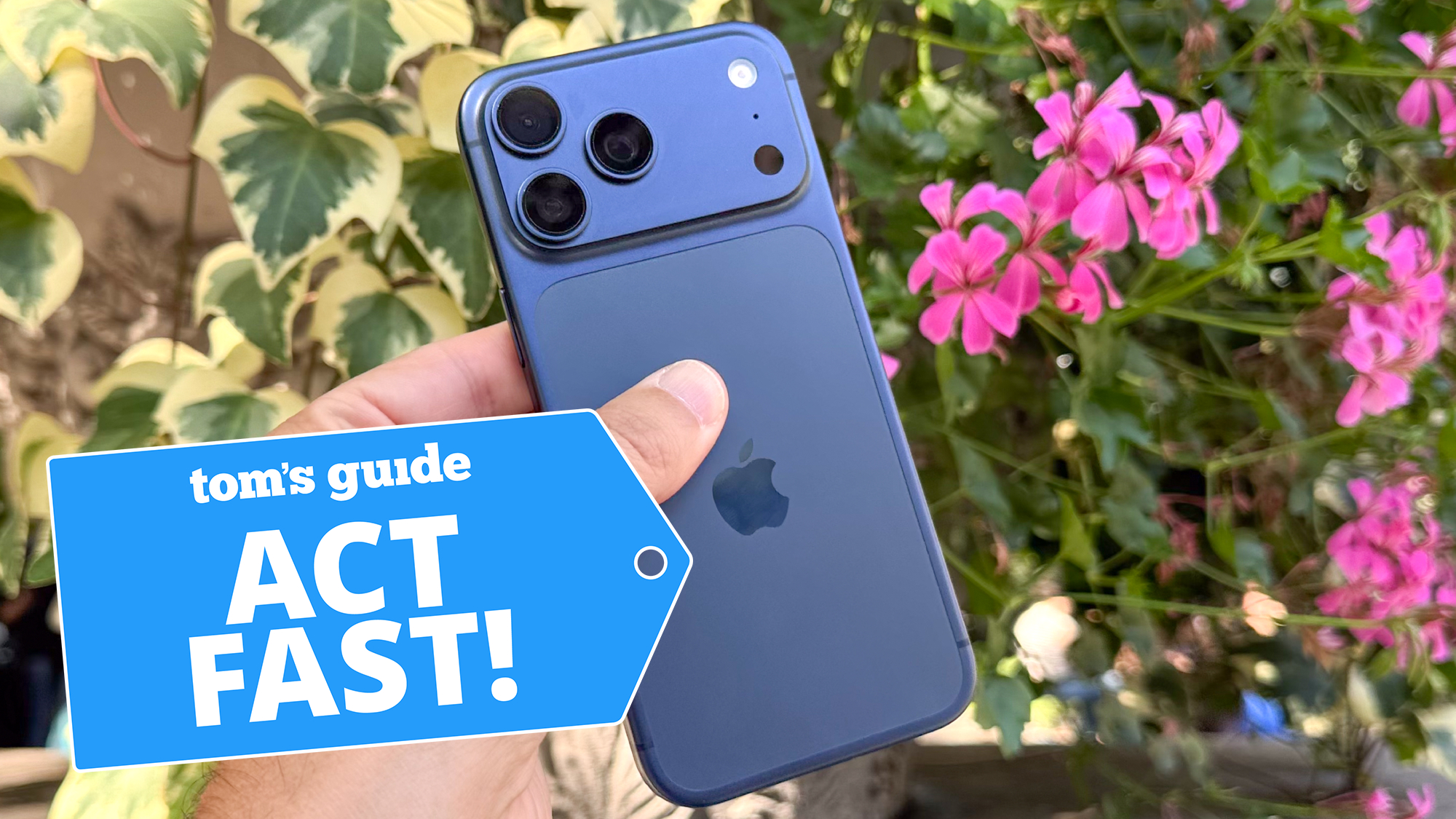 iPhone 17 Pro Max מוצג מול פרחים