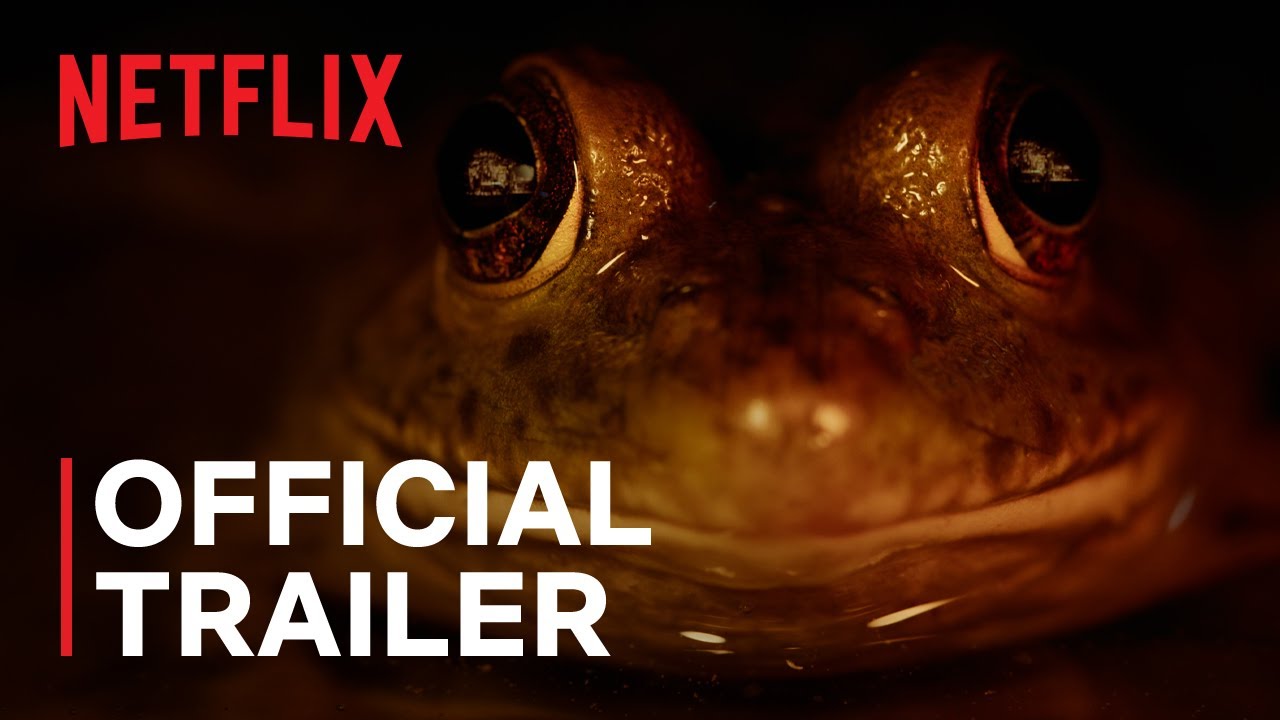 סיוטים של טבע | טריילר רשמי | Netflix - YouTube