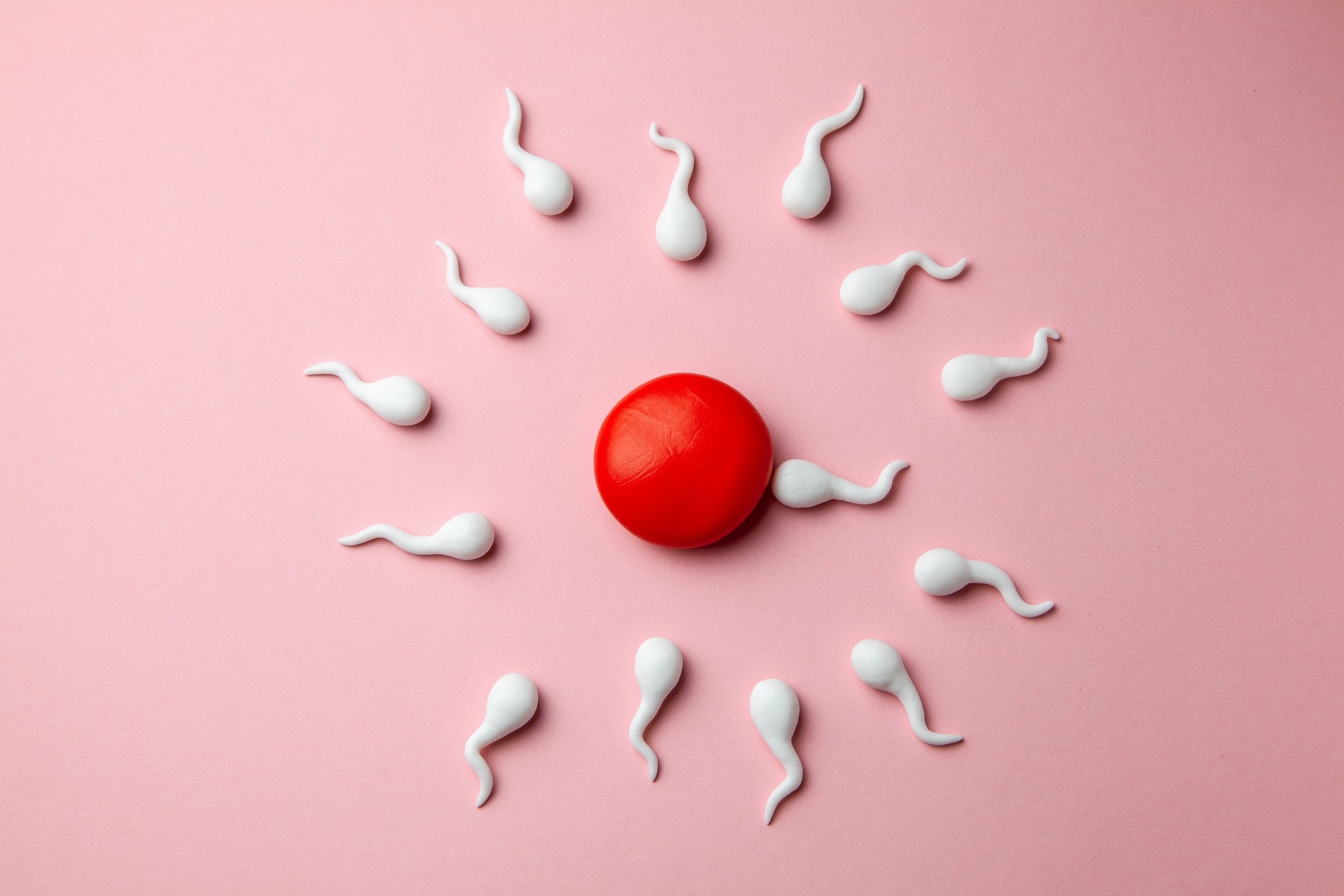 Trial: Antioxidant Treatment and the Chance to Conceive in Men Seeking Fertility Care. Image Credit: ADragan / Shutterstock