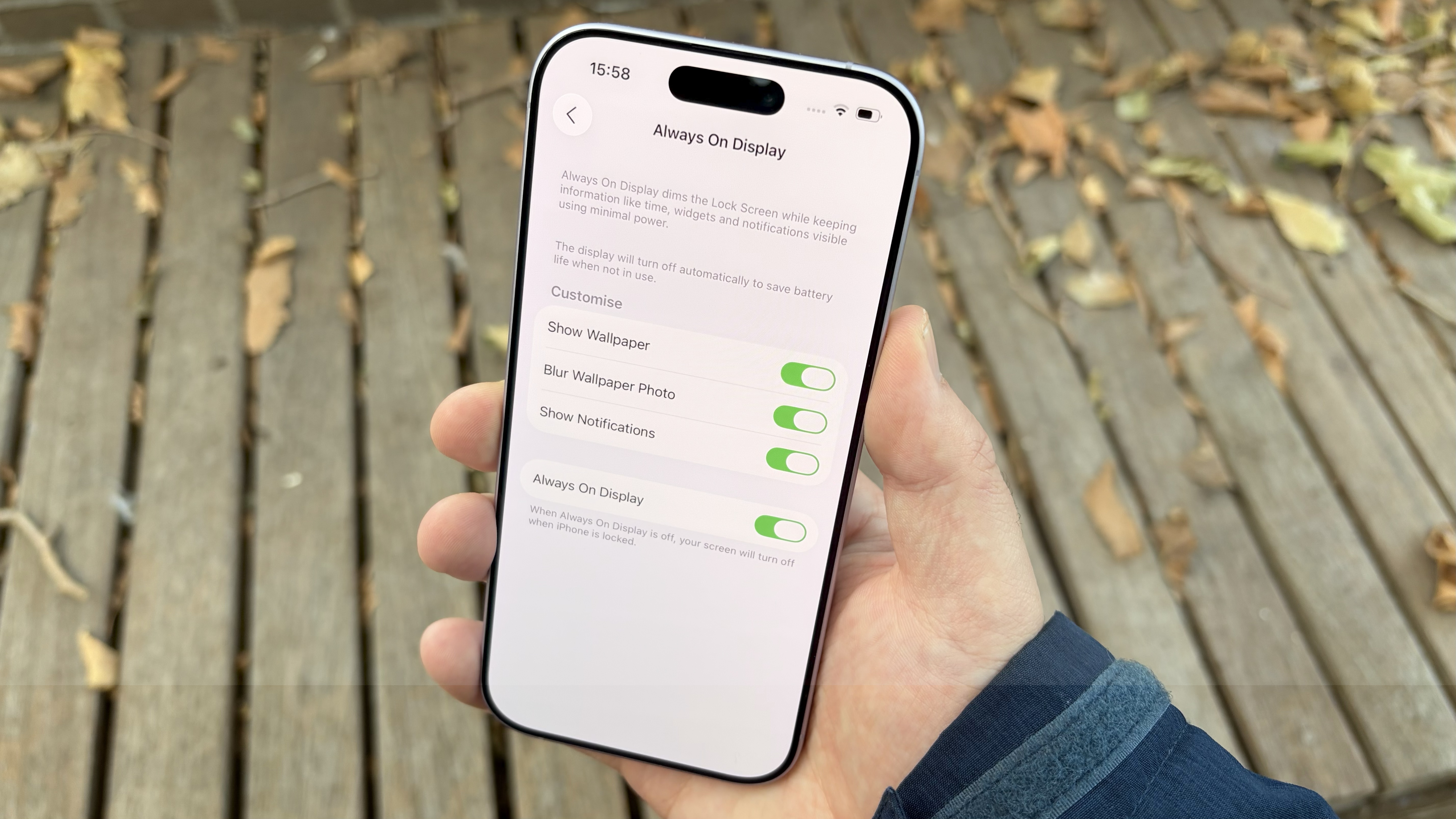 iphoine 17 תמיד בתצוגות