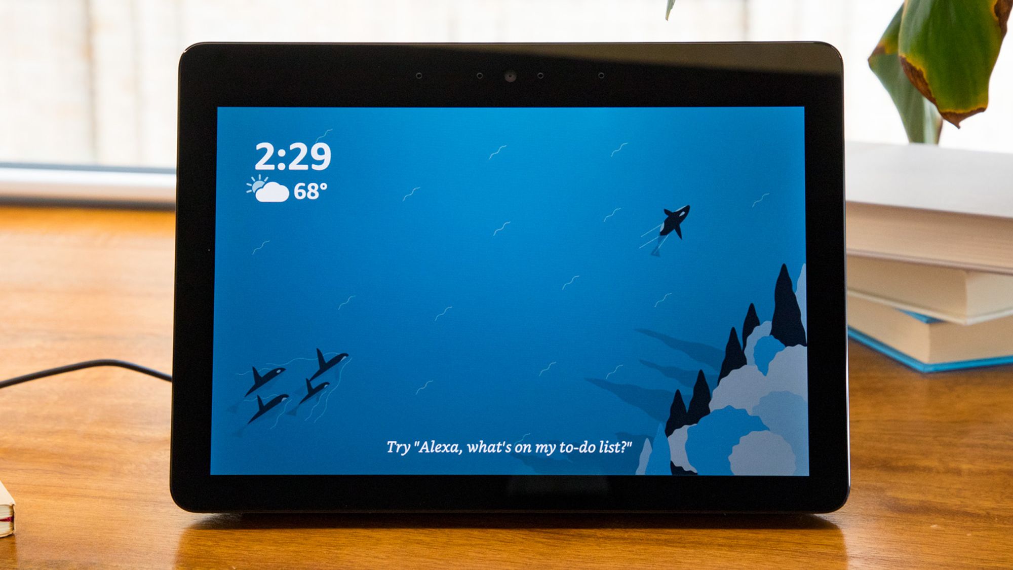 מודעות מסך מלא מגניבות הופכות את Amazon Echo Show לחוסר תועלת-הנה כיצד לתקן את זה