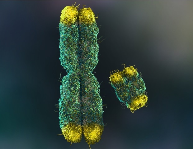 Wasatch Biolabs מרחיב את תיק השירותים עם מבחני ננופור של אוקספורד בפרמקוגנומיקה, רצף טלומרים ובקרת איכות חיסון ל- mRNA