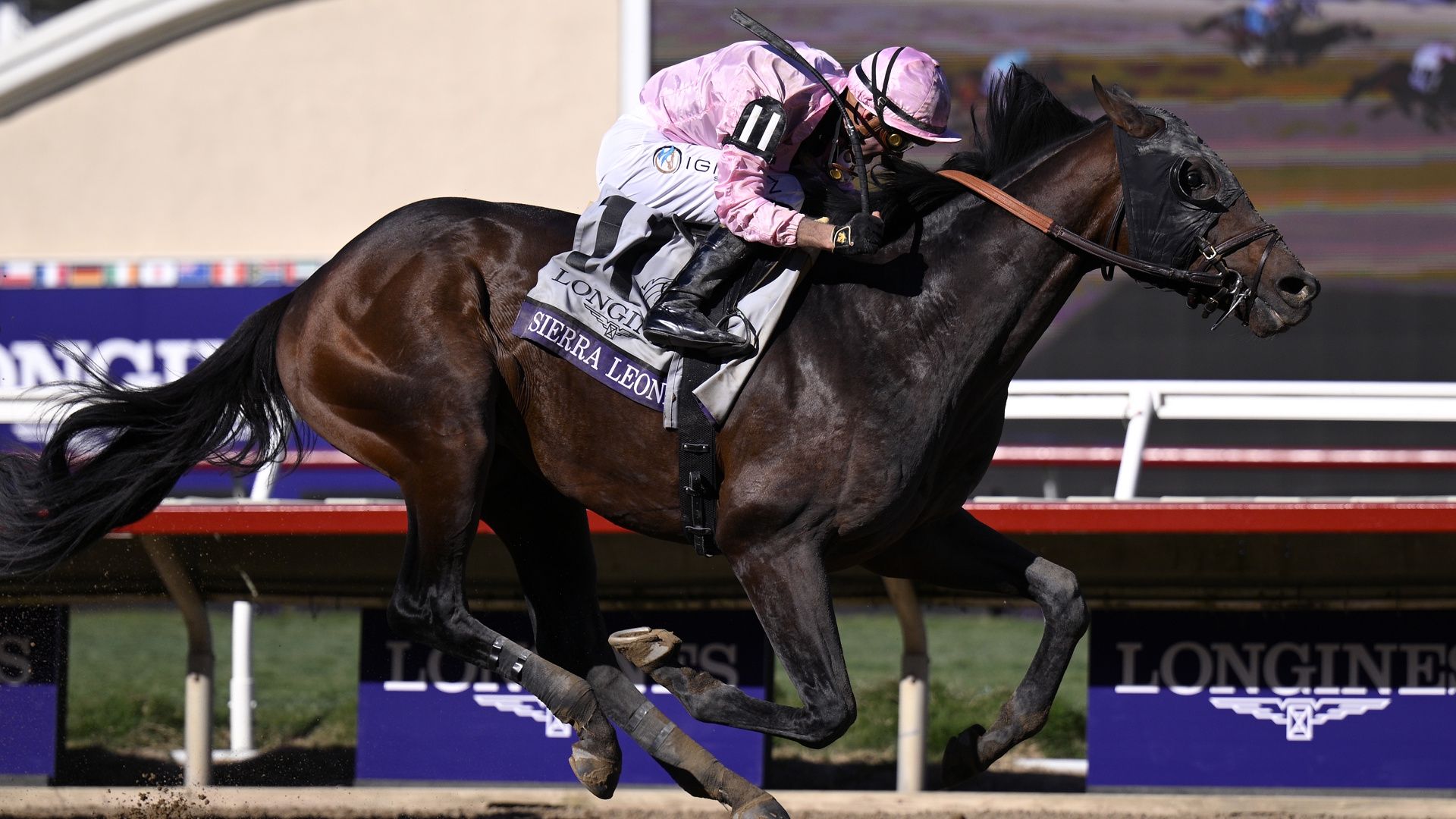 Sierra Leone ridden by Flavien Prat during the 2024 Breeders' Cup Classic.