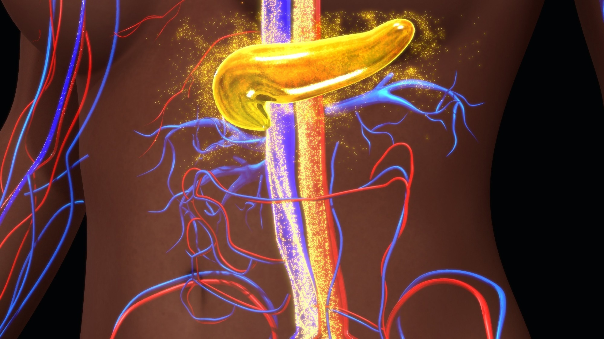 Study: Functional recovery of islet β cells in human type 2 diabetes: Transcriptome signatures unveil therapeutic approaches. Image Credit: sciencepics / Shutterstock