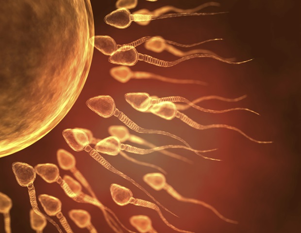 שינויים ב- DNA מזיקים בזרע נמצא כי הם עולים בחדות עם הגיל