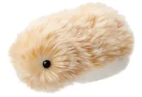 קאסיו מופלין