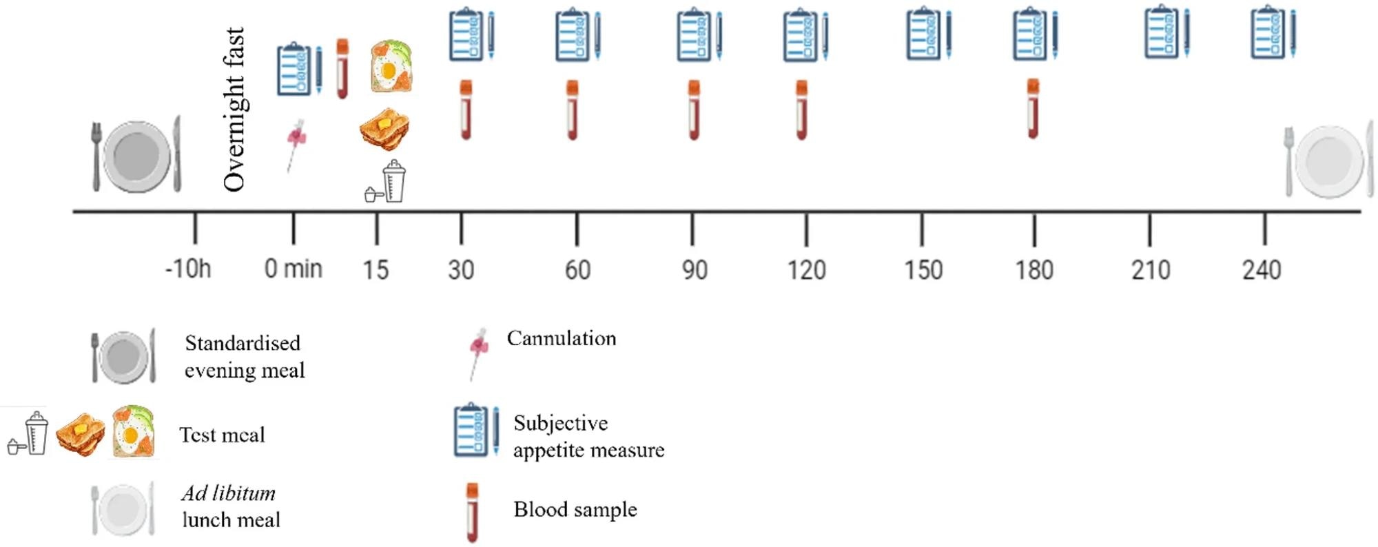סכמטי של פרוטוקול המחקר