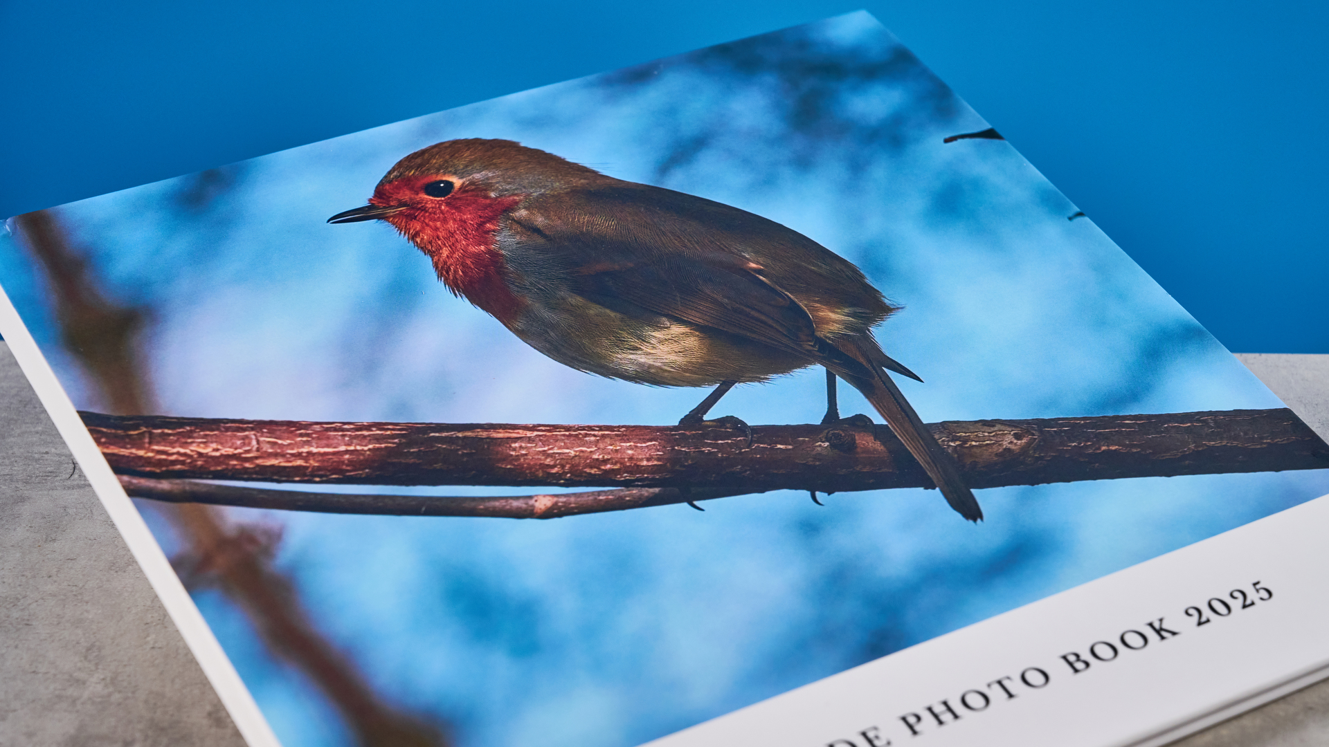 תמונות של ספר תמונות צ'אט