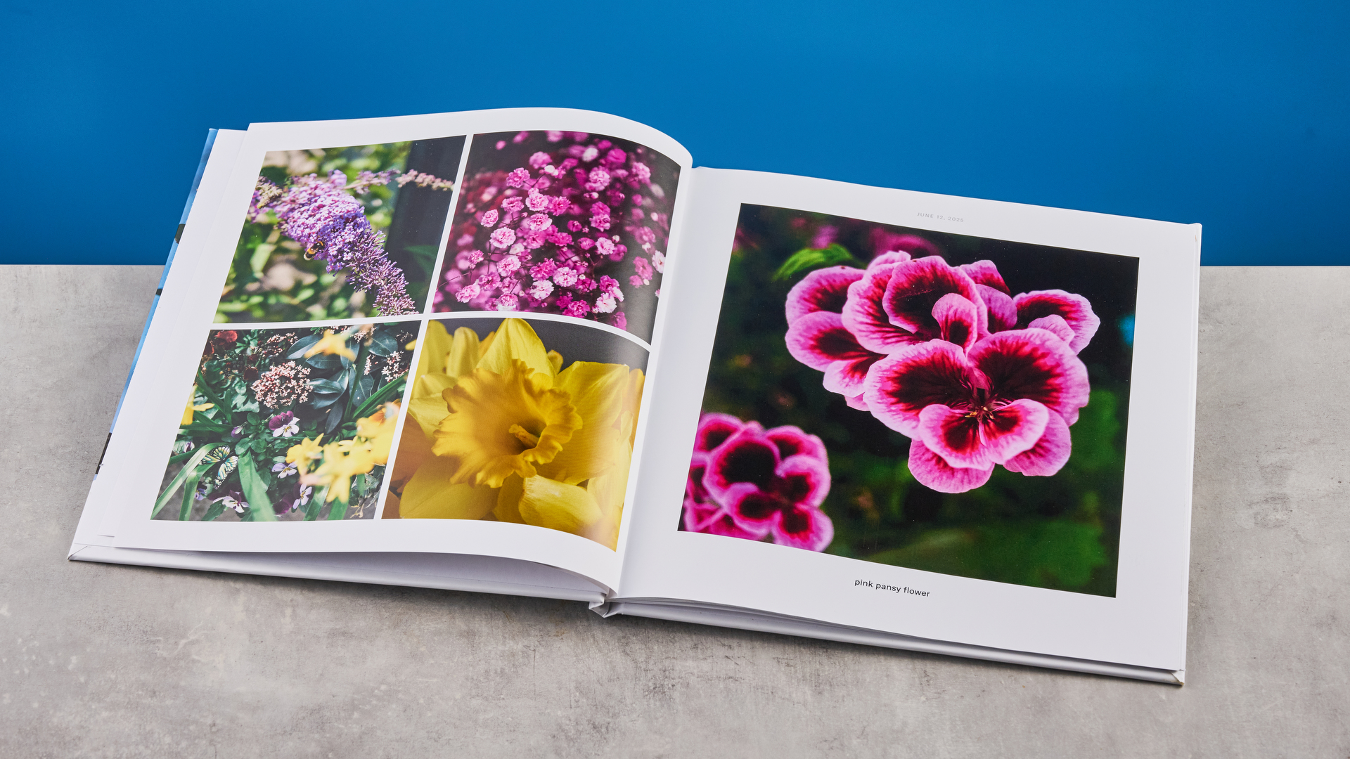 תמונות של ספר תמונות צ'אט