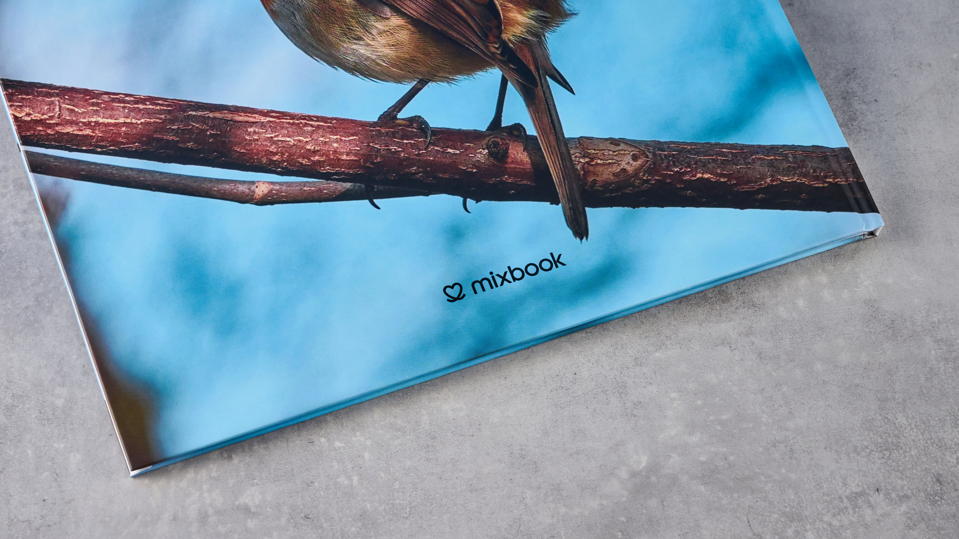 Mixbook Book Photo Book