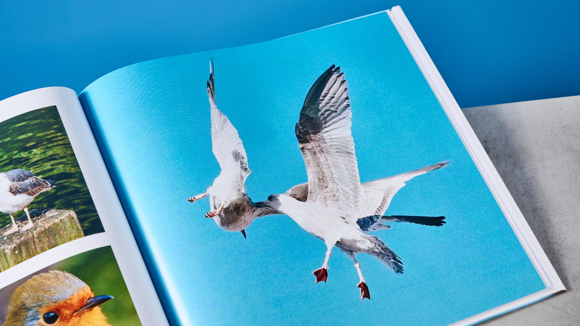 Mixbook Book Photo Book