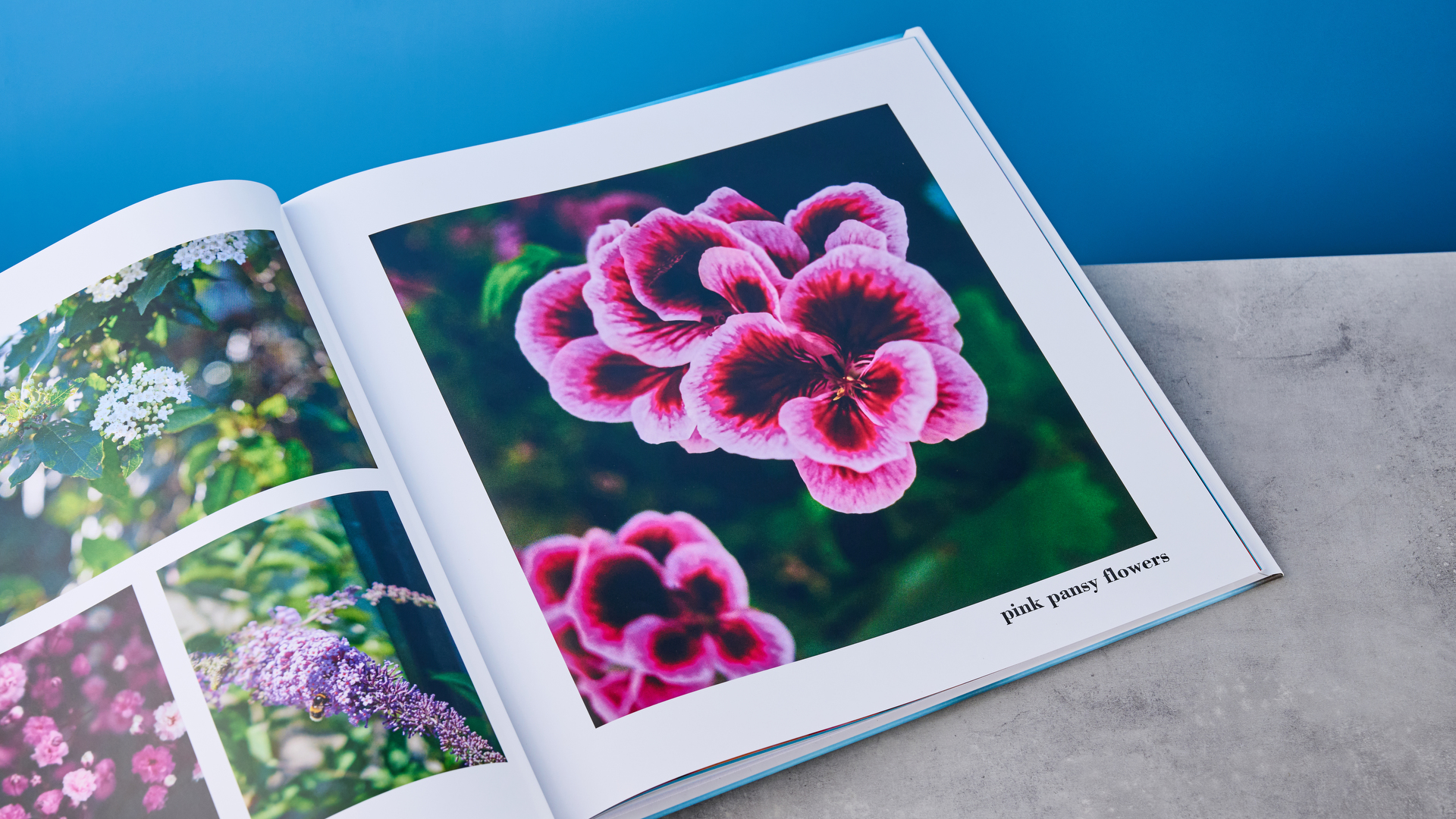 Mixbook Book Photo Book