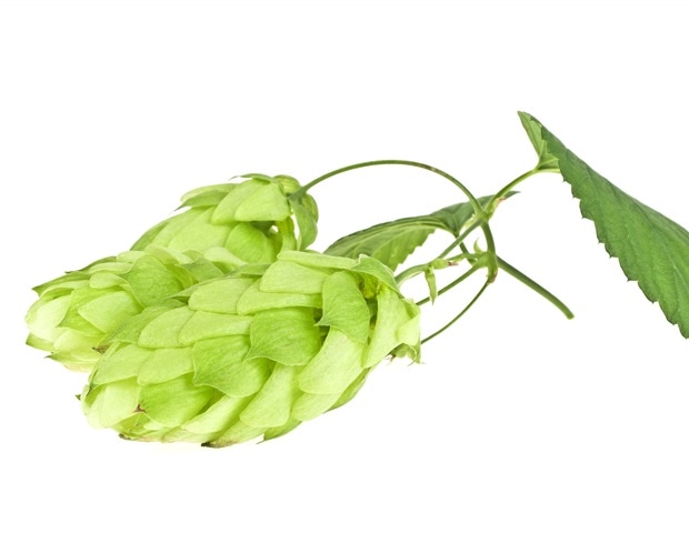 איך כמה מקומות בילו מזומנים בהסדר אופיואידים