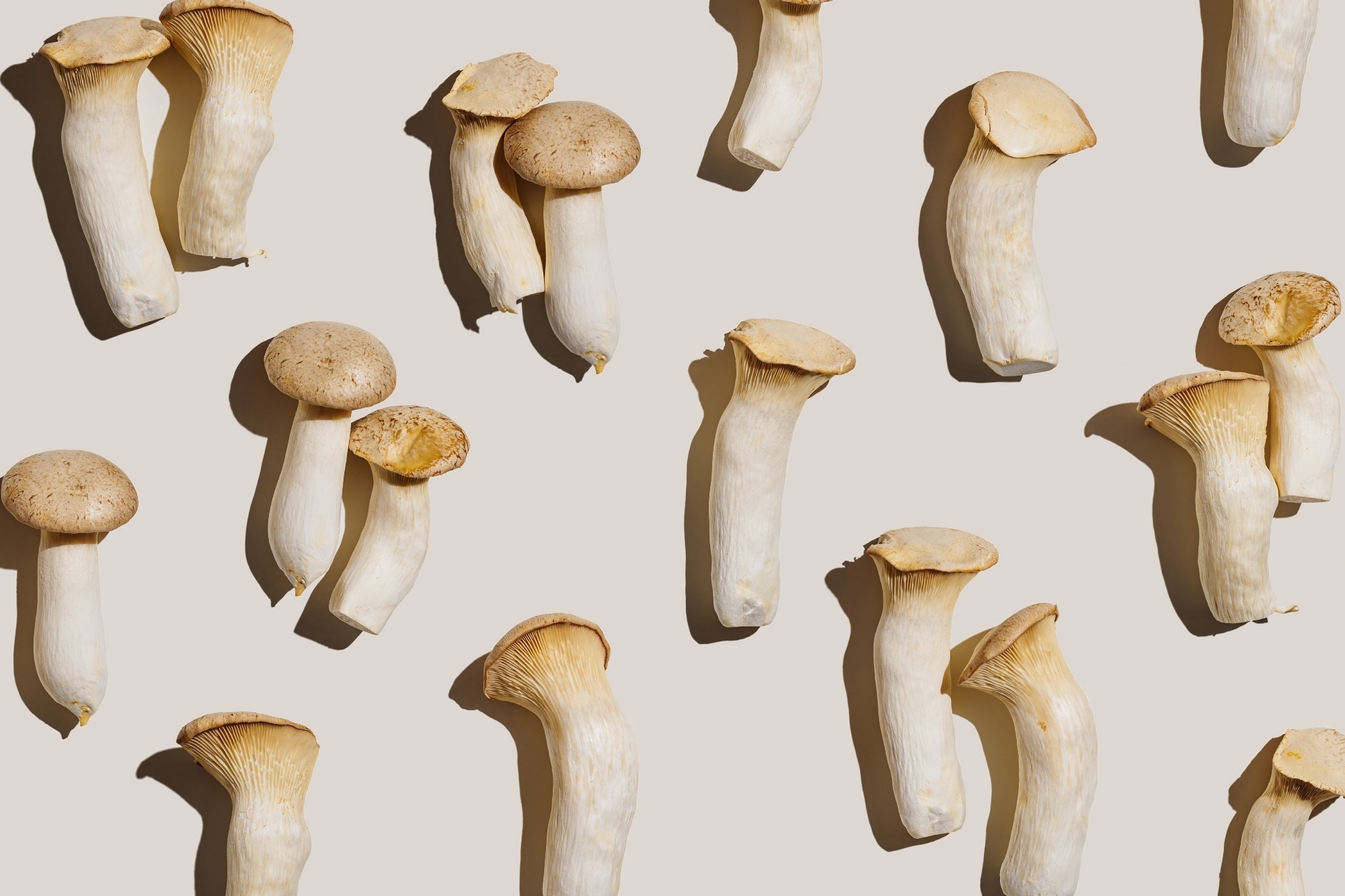 Review: Mushroom consumption impacts on biomarkers of cardiometabolic disease risk and immune function: a narrative review from a whole food perspective. Image Credit: YRABOTA / Shutterstock