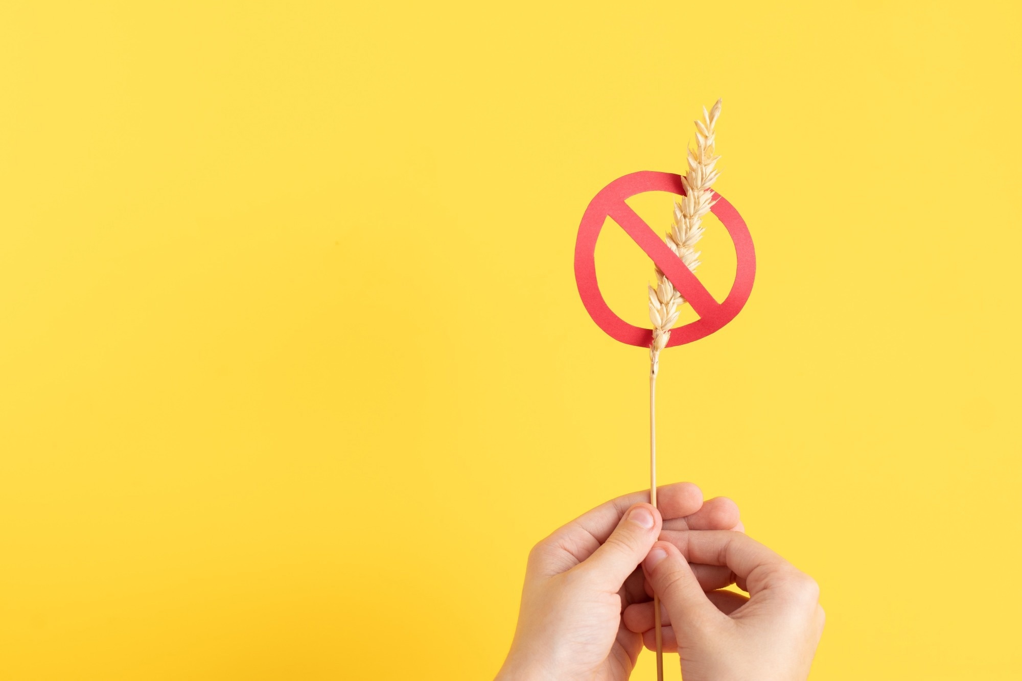 Study: A Gluten Free Food Guide Used in Diet Education to Improve Diet Quality in Children with Newly Diagnosed Celiac Disease: A Pilot Randomized Control Trial. Image Credit: Galigrafiya / Shutterstock