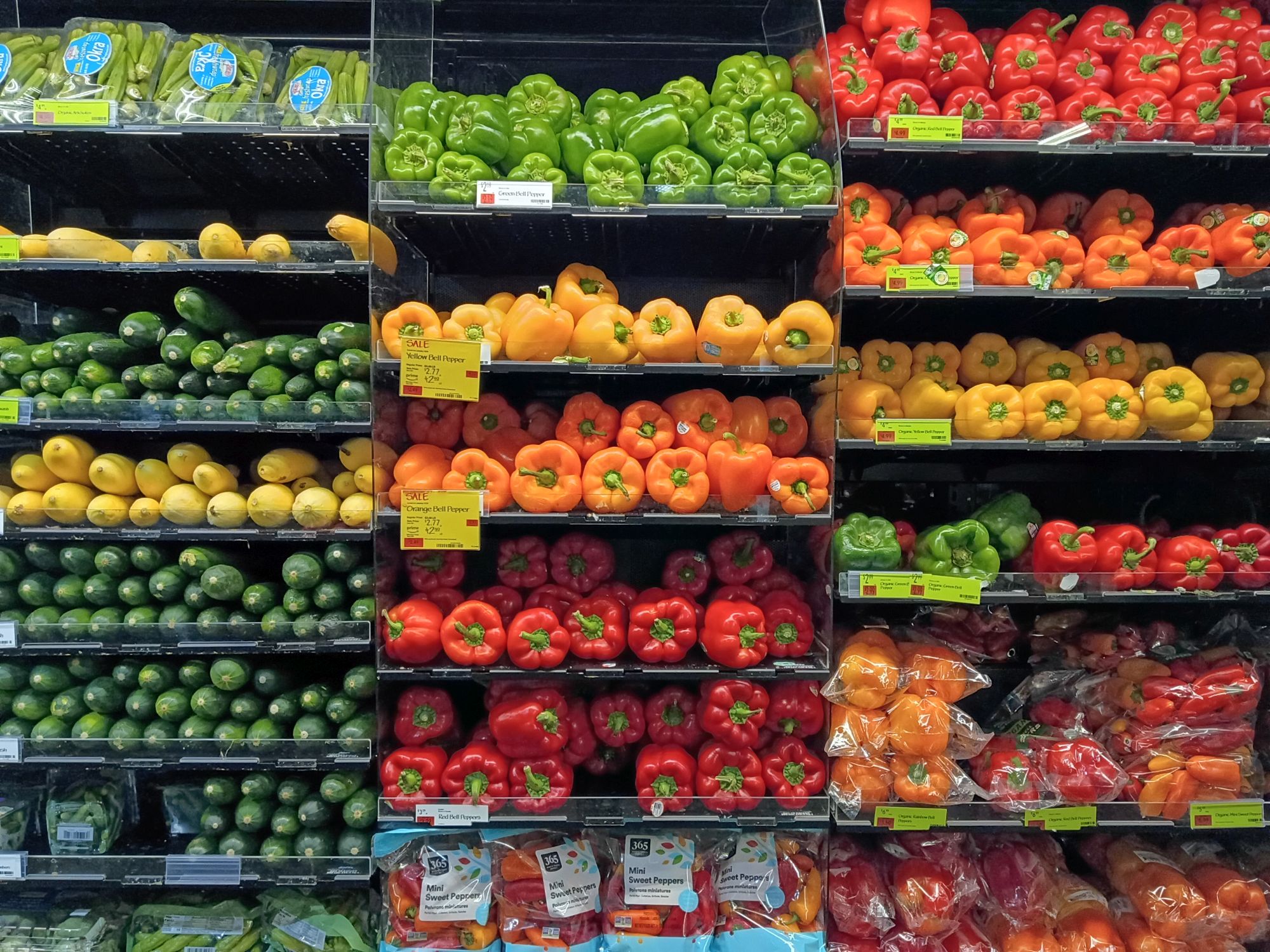 דוגמת מצלמה של Motorola Moto G Play (2026).