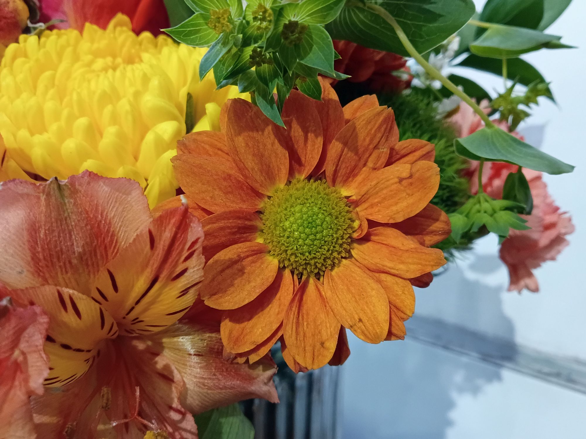 דוגמת מצלמה של Motorola Moto G Play (2026).