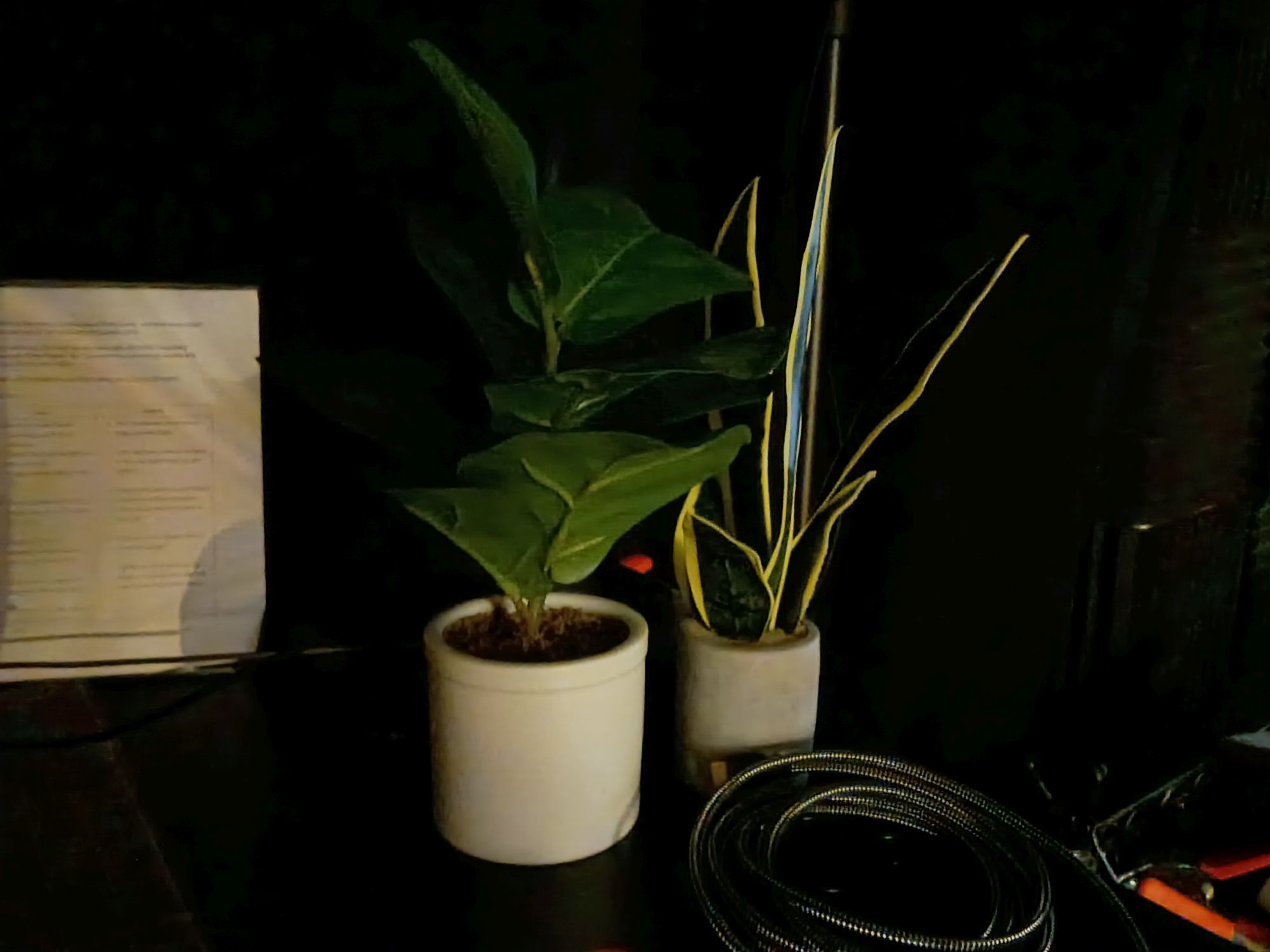 דוגמת מצלמה של Motorola Moto G Play (2026).