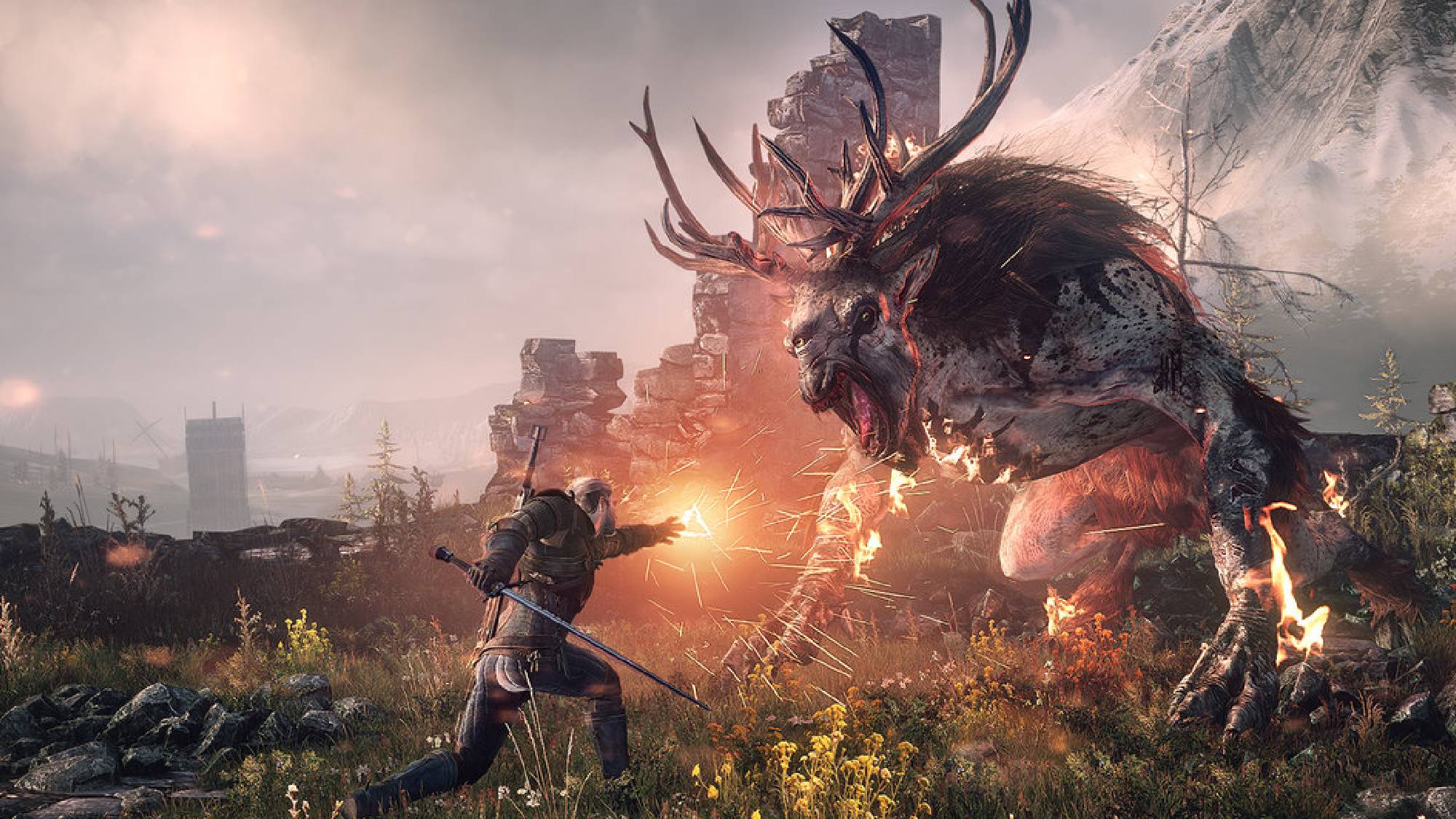 Witcher 3