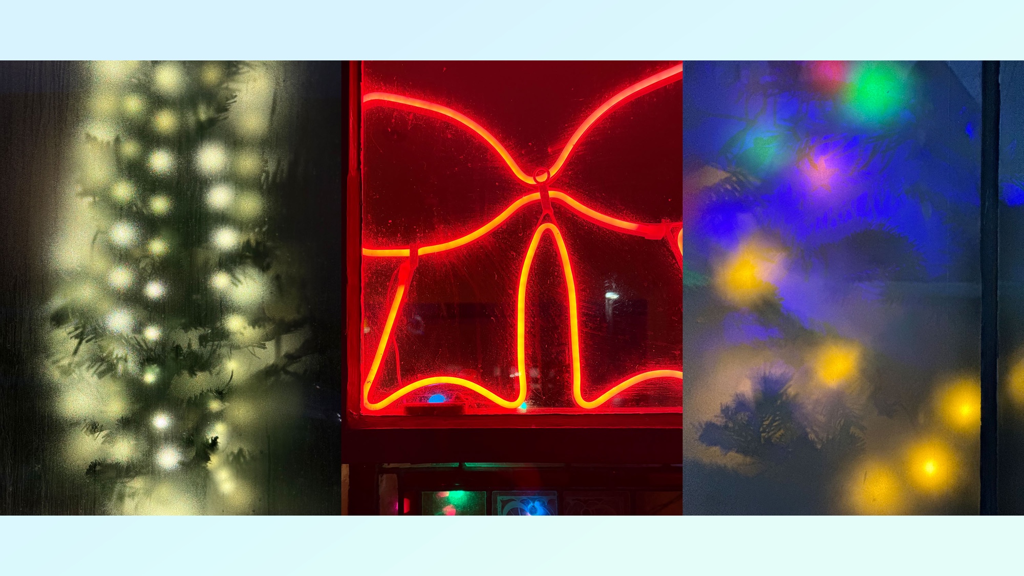 שלוש תמונות המציגות מצבי מאקרו ופורטרט