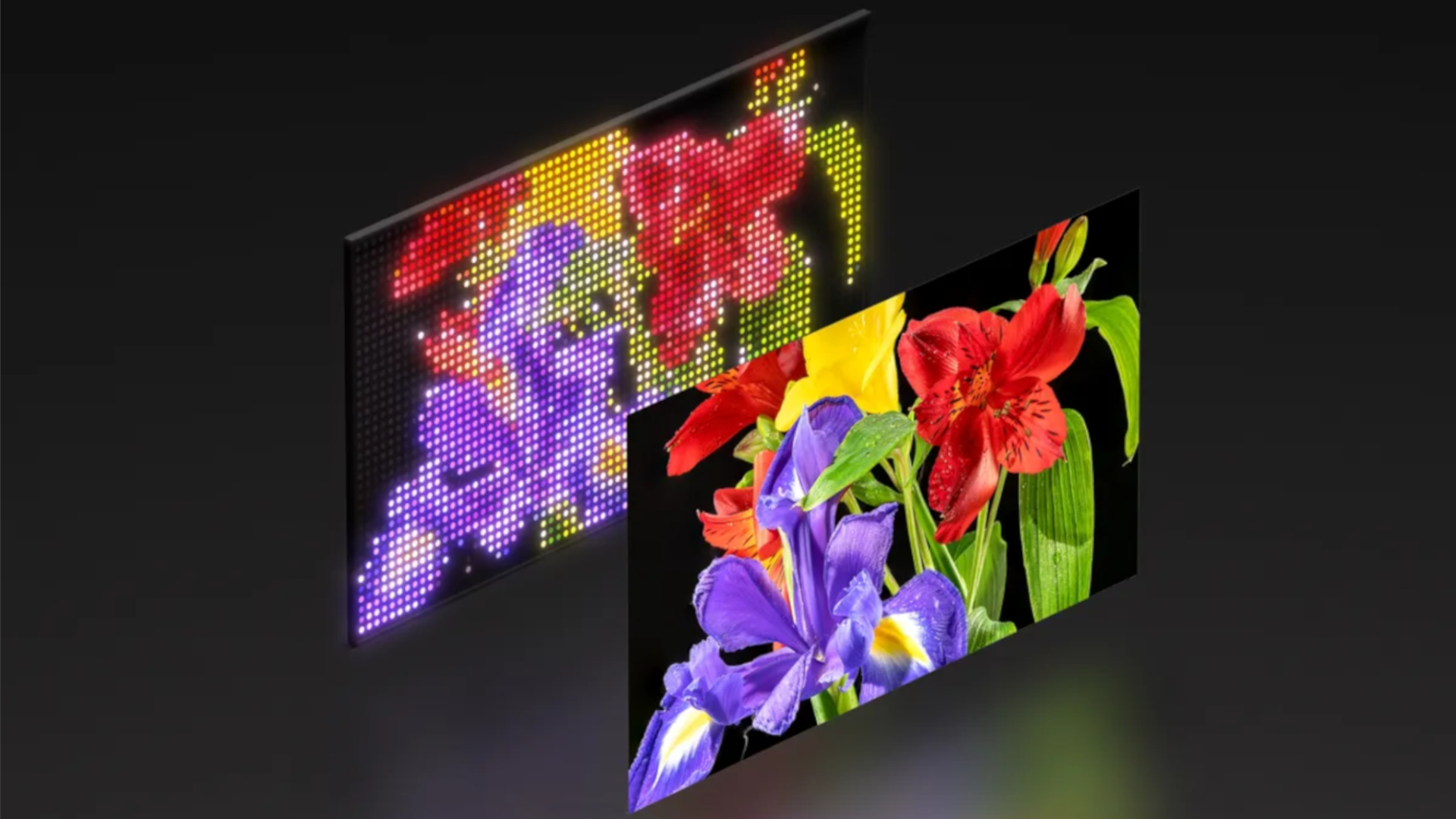 הדגמה ויזואלית של טכנולוגיית ה-Mini-LED החדשה ביותר של סוני: שני צגים מלבניים יושבים זה לצד זה בזווית, מה שמרמז על שתי שכבות של אותו צג. התצוגה הראשונה מתארת ​​תקריב של פרחים צבעוניים, בעוד שהתצוגה מאחוריה מתארת ​​את אותם פרחים צבעוניים המורכבים מאלפי ריבועים זעירים.