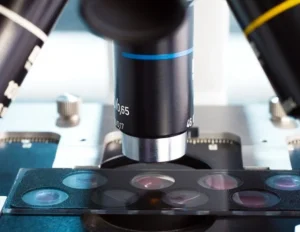 Cryo-EM חושף הפעלת NPFFR1 ומנחה עיצוב ליגנד חדש