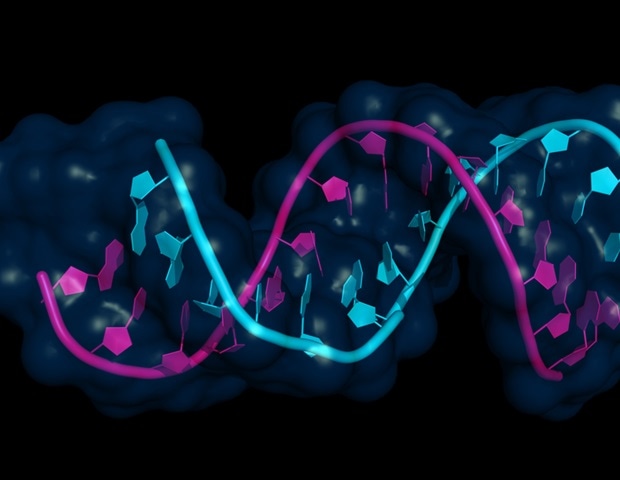 תכנון פולימרים טובים יותר לאספקת RNA עם כלים חישוביים